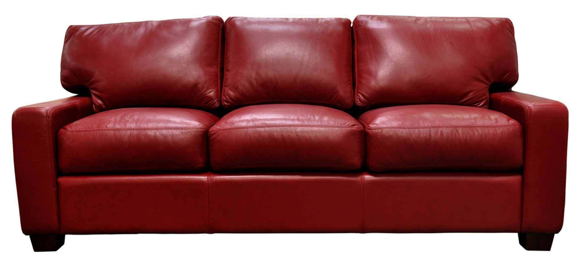 Albany Leather Sofa - Image 3