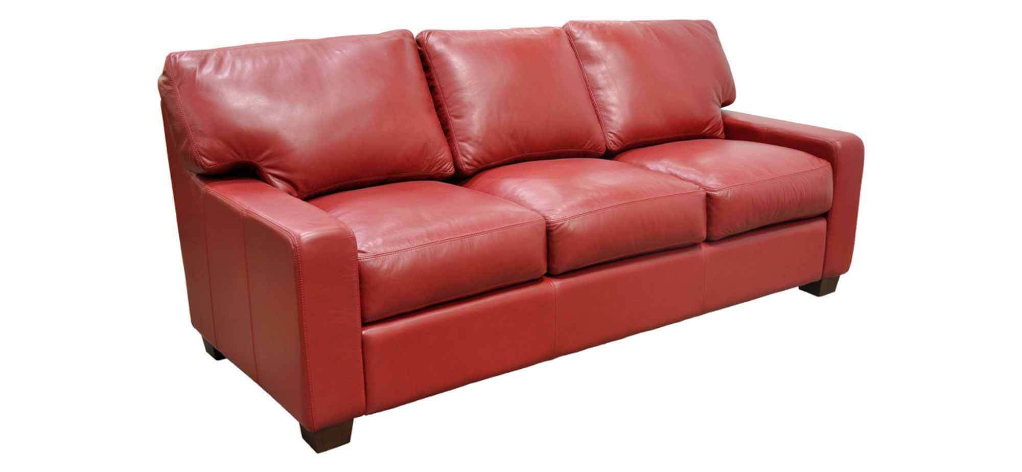 Albany Leather Sofa - Image 4