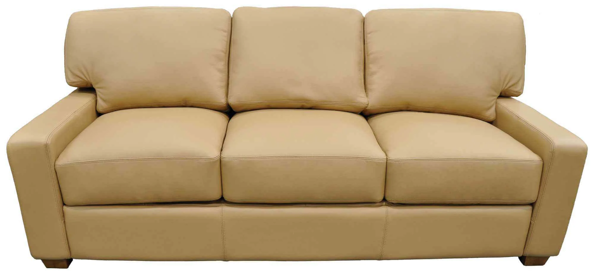 Albany Leather Sofa - Image 6