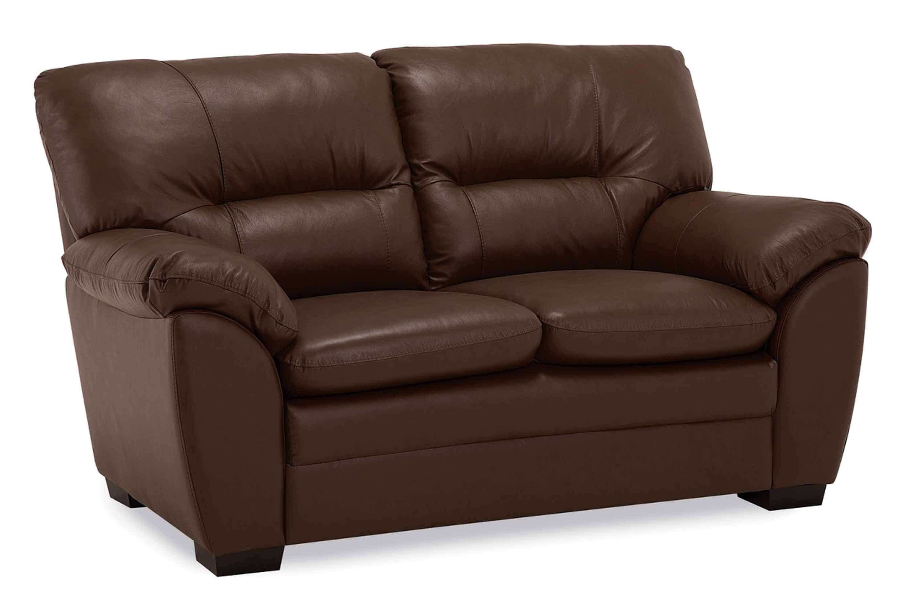 Amisk Leather Loveseat