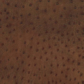 Specialty Grade 5: Antique Pattern