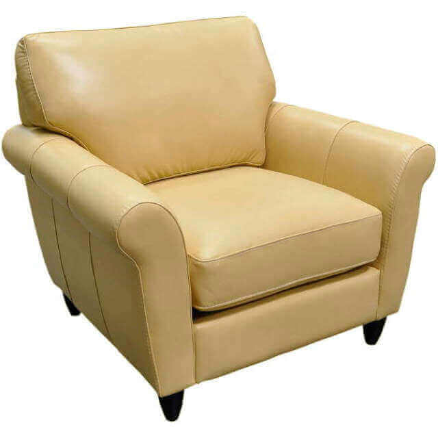 Cameo Leather Chair - Image 14