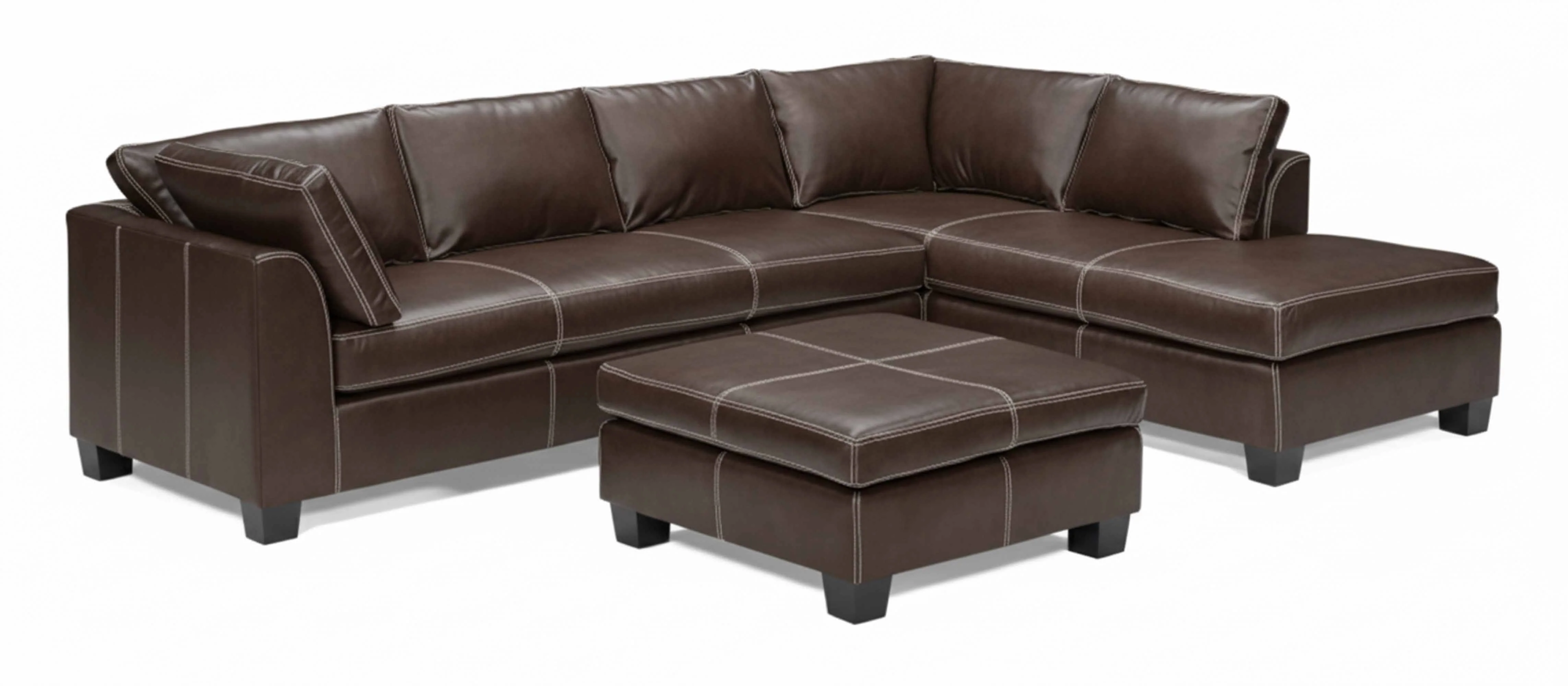 Carolina Leather Sectional - Image 4