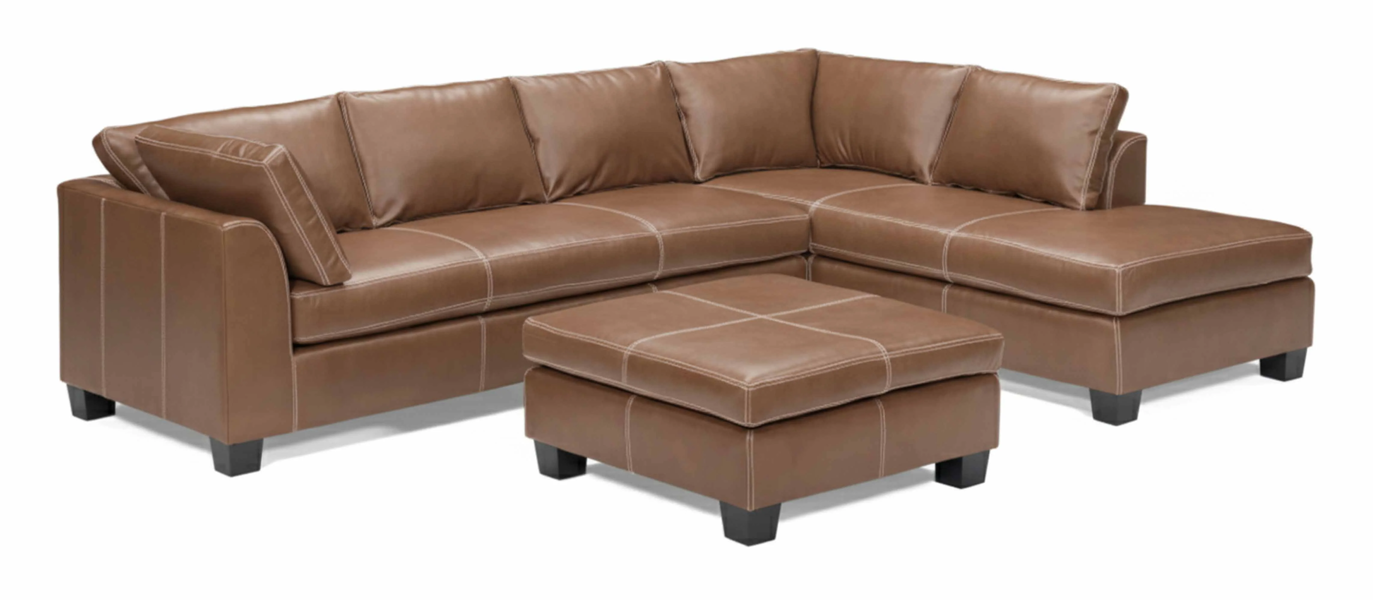Carolina Leather Sectional - Image 6