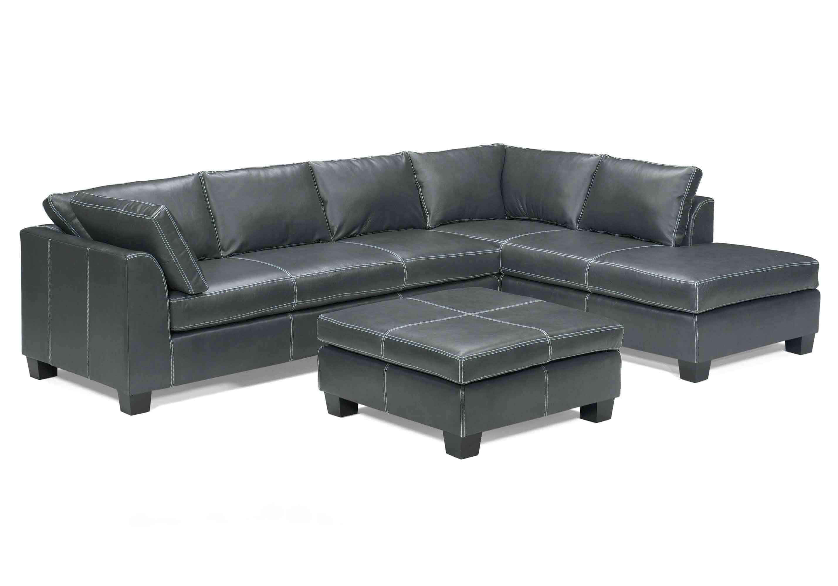 Carolina Leather Sectional - Image 7