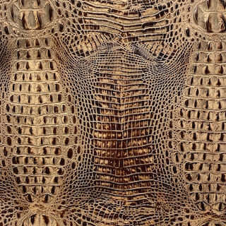 Specialty Grade 5: Crocodile Pattern