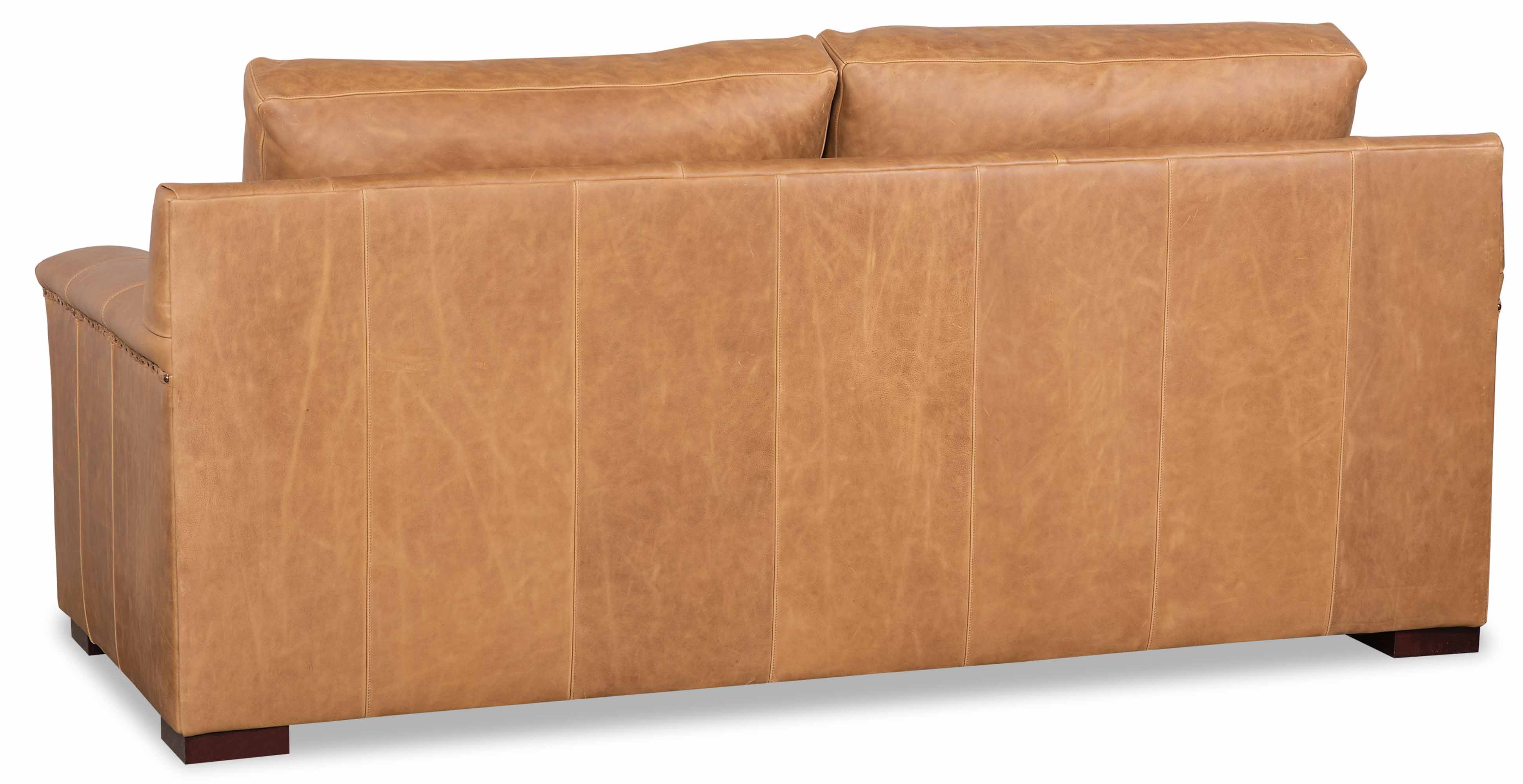Franklin Leather Two Cushion Sofa - Image 5