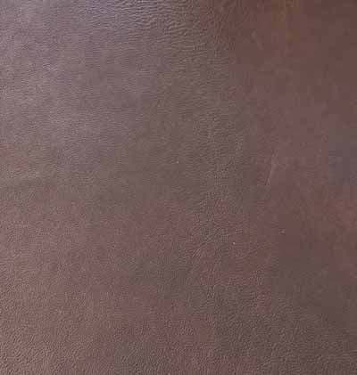Grade 1: Ivy Pattern - Image 13