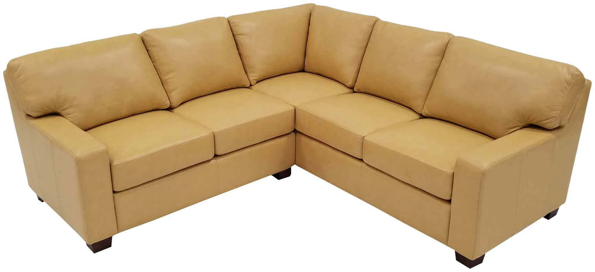 Albany Leather Sectional - Image 3