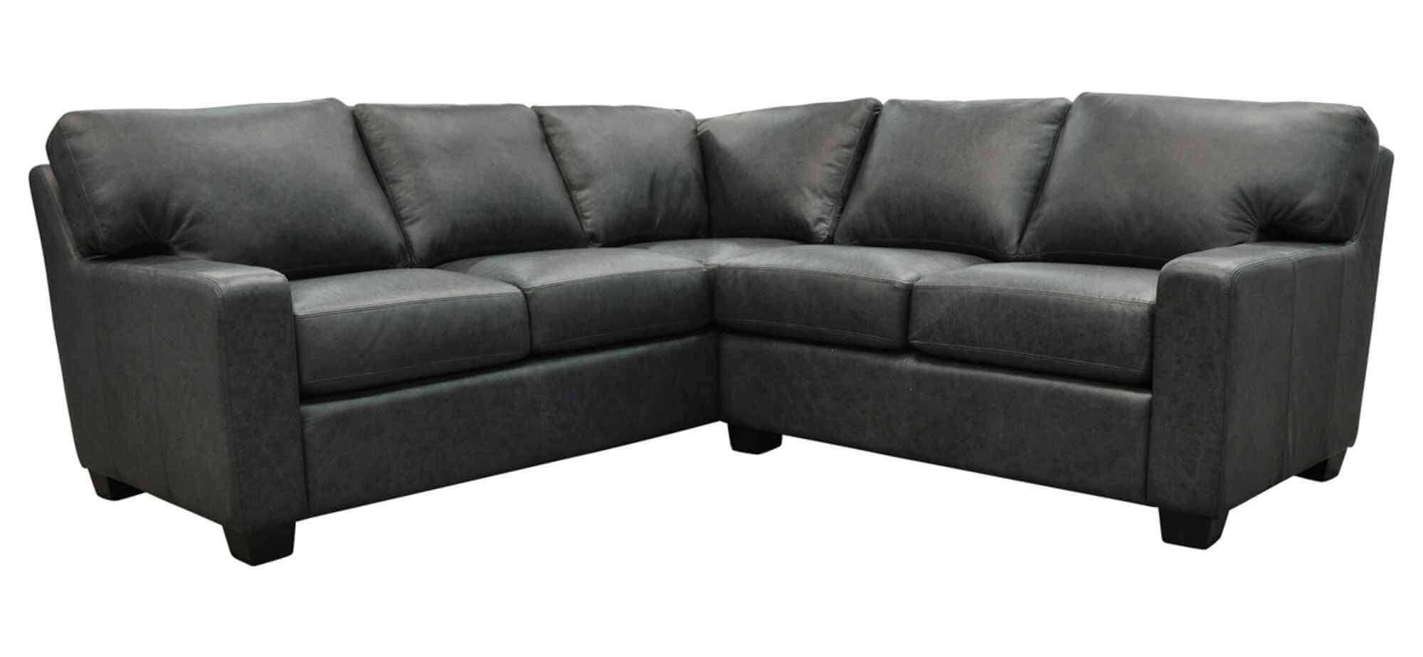 Albany Leather Sectional - Image 4