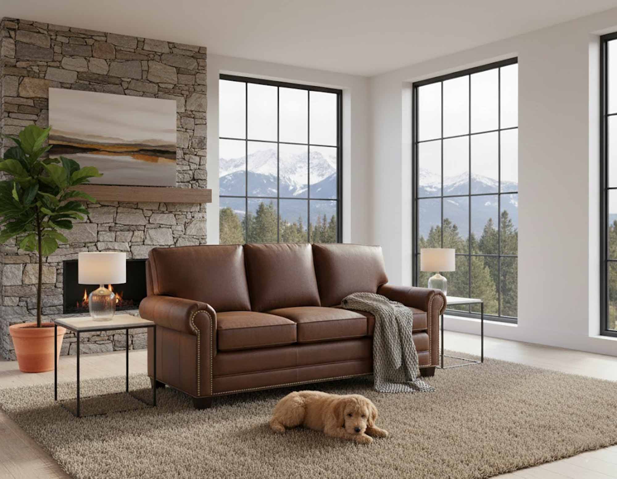 Jackson Leather Sleeper Sofa - Image 5