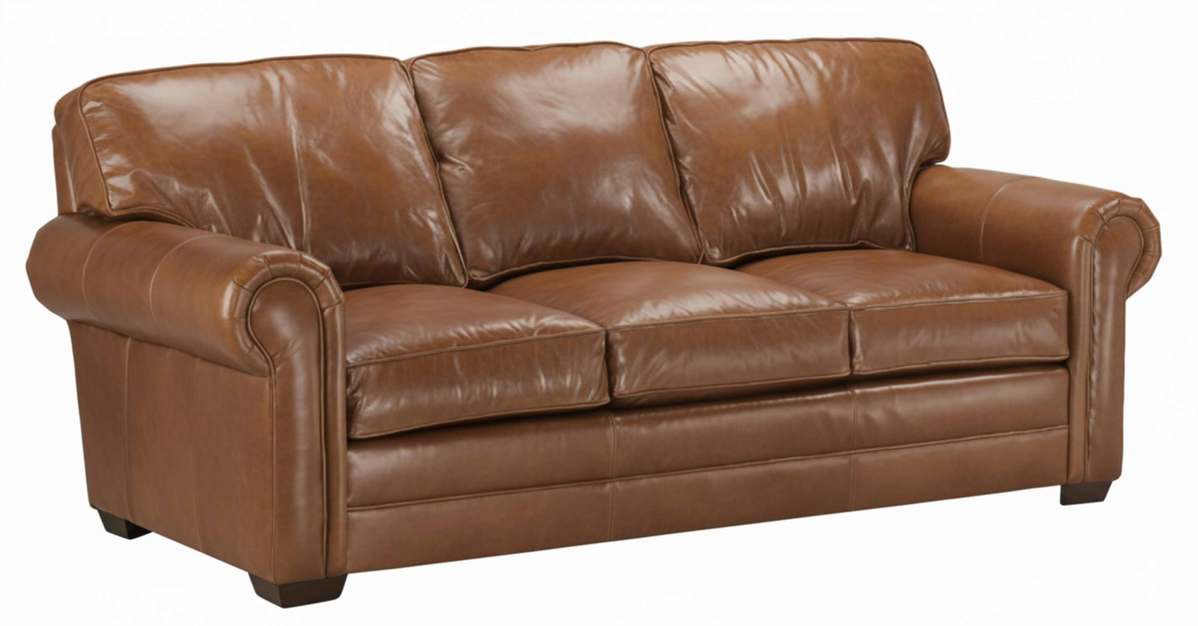 Kahne Leather Queen Size Sofa Sleeper - Image 2