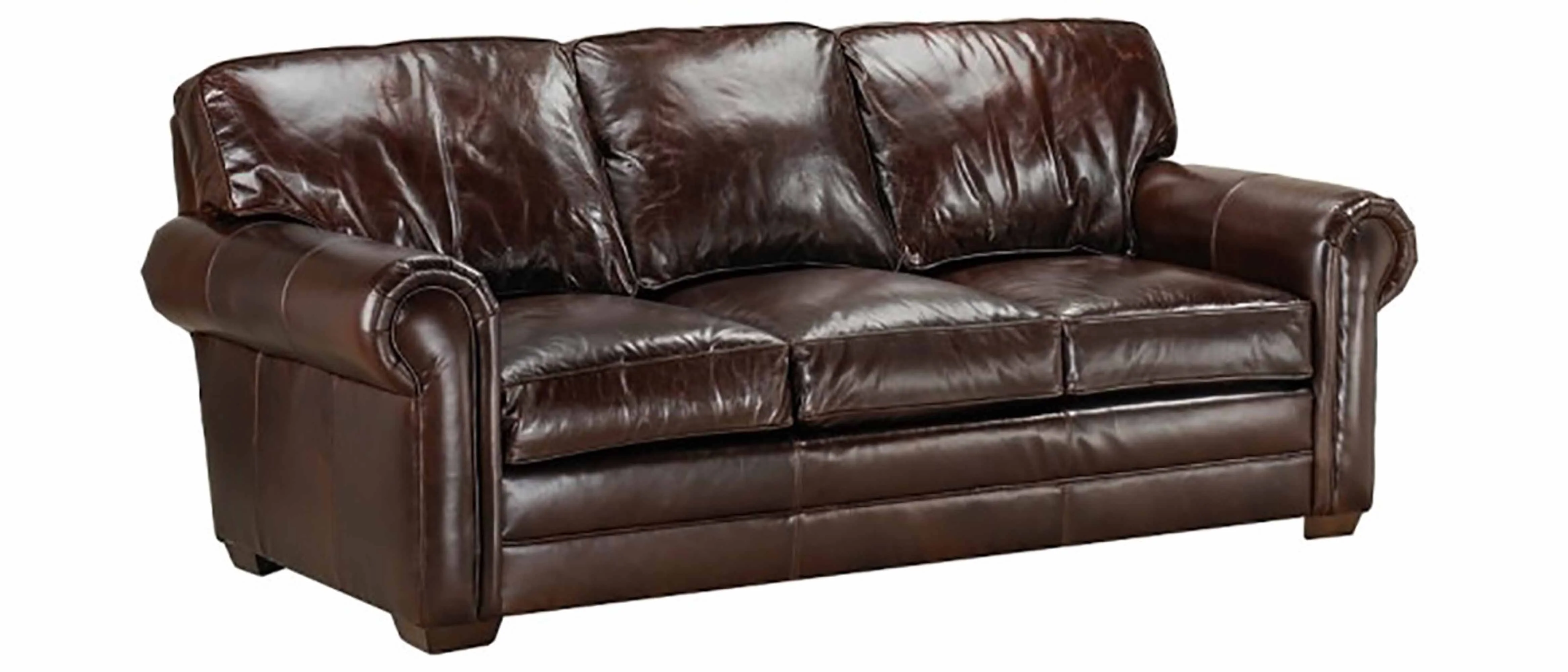 Kahne Leather Queen Size Sofa Sleeper - Image 4