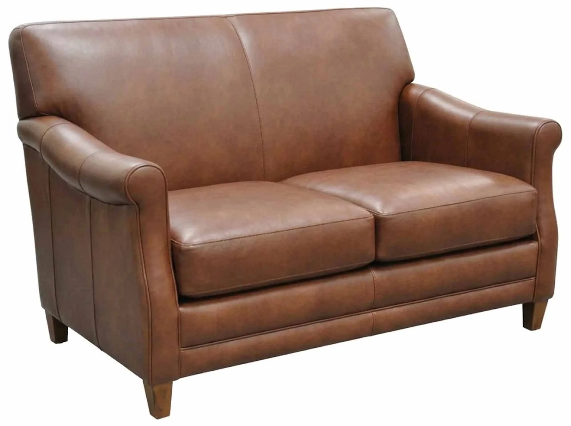 Kenya Leather Loveseat