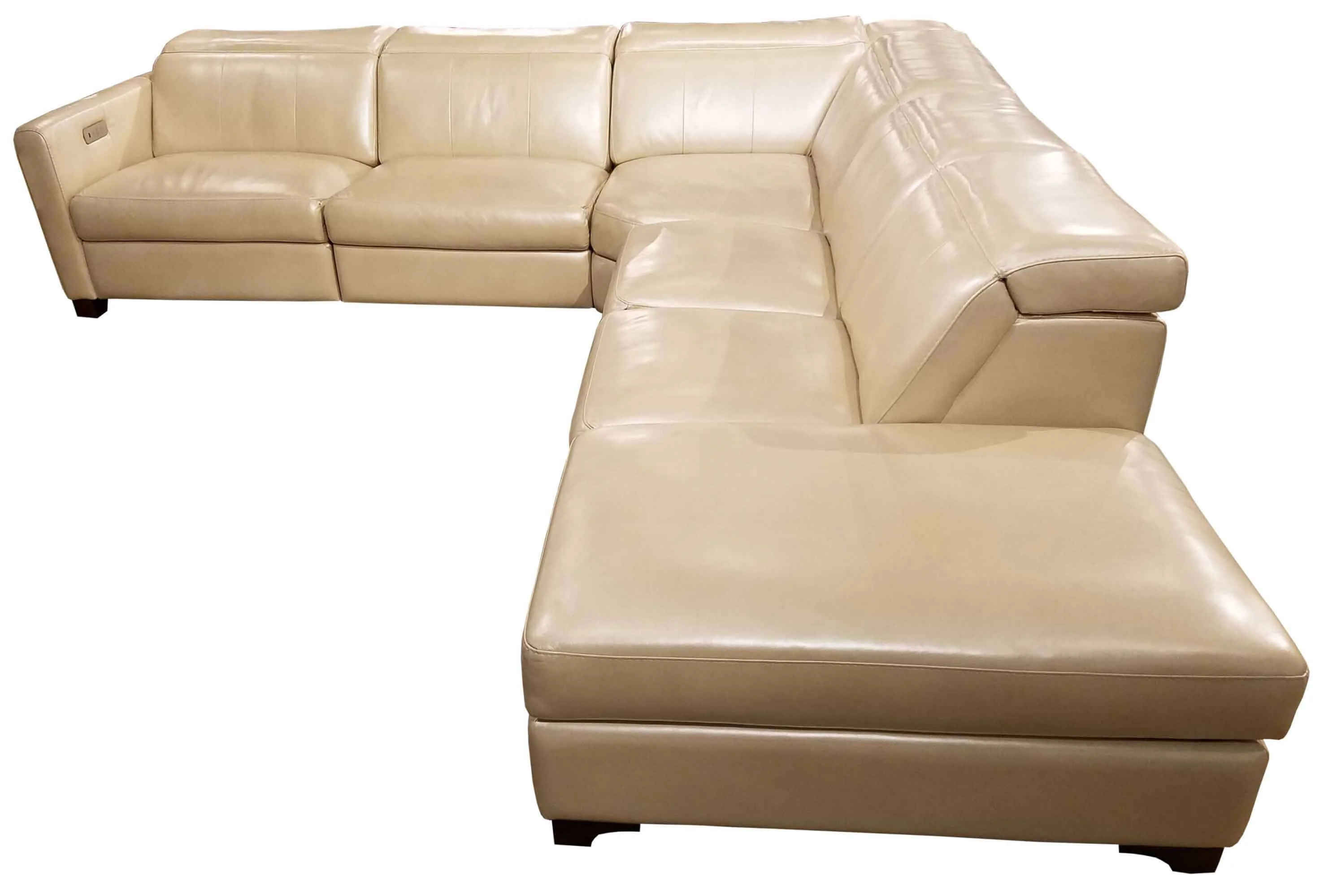 Manzoni Leather Power Reclining Sectional With Articulating Headrest