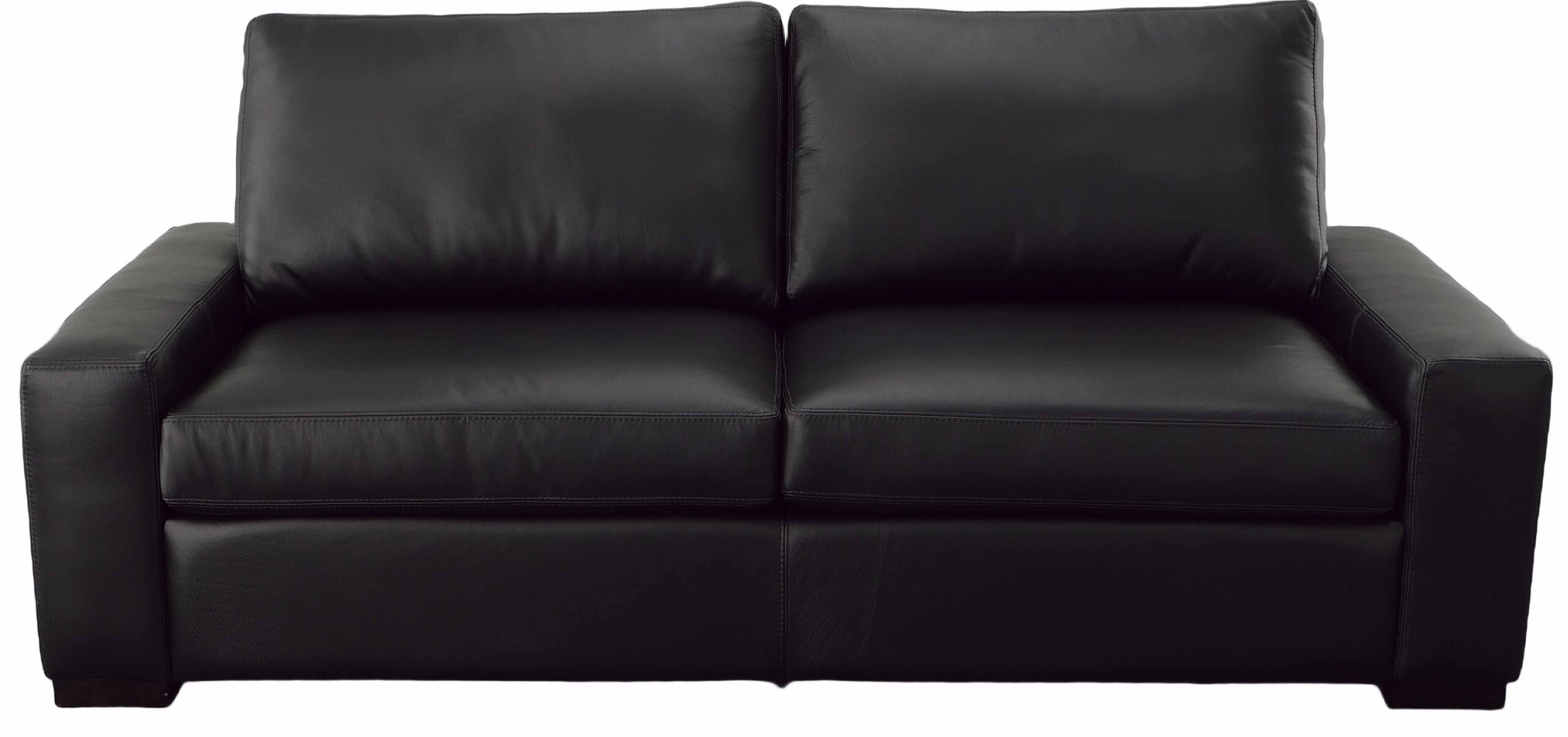 Max 2 Leather Sofa