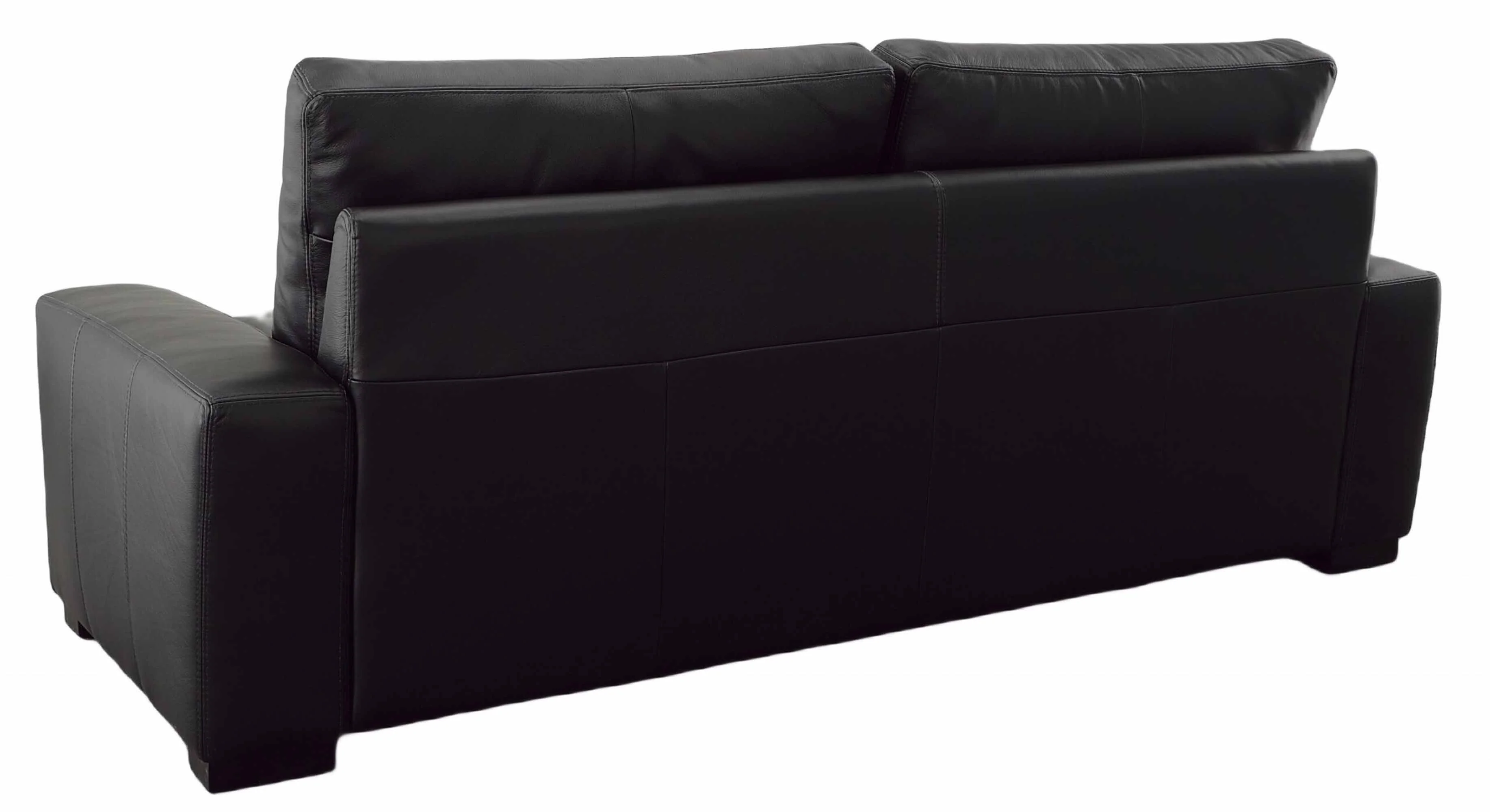 Max 2 Leather Sofa - Image 3