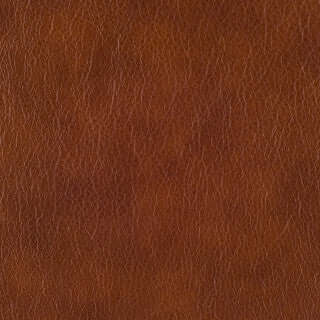 Grade 1: Montana Pattern - Image 3