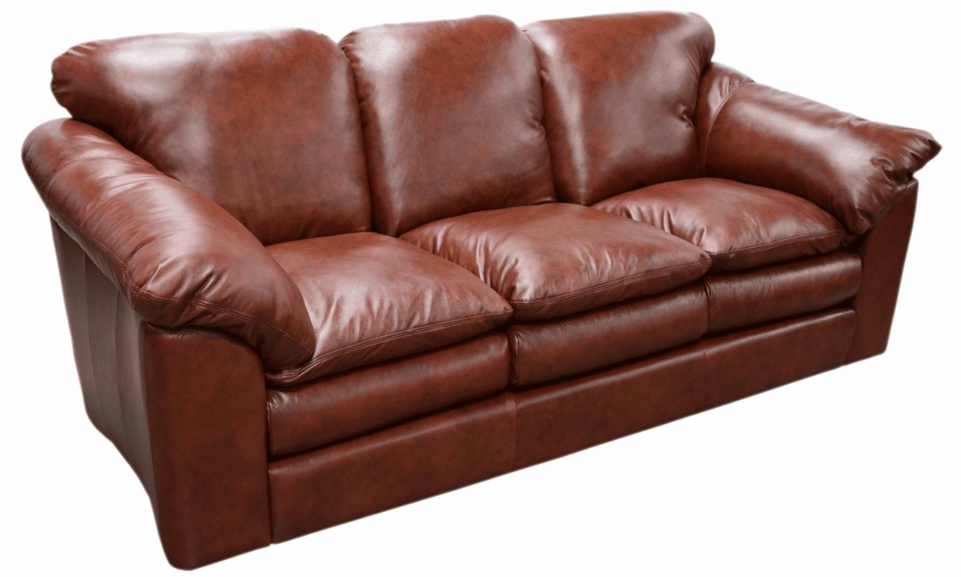 Oregon Leather Sofa