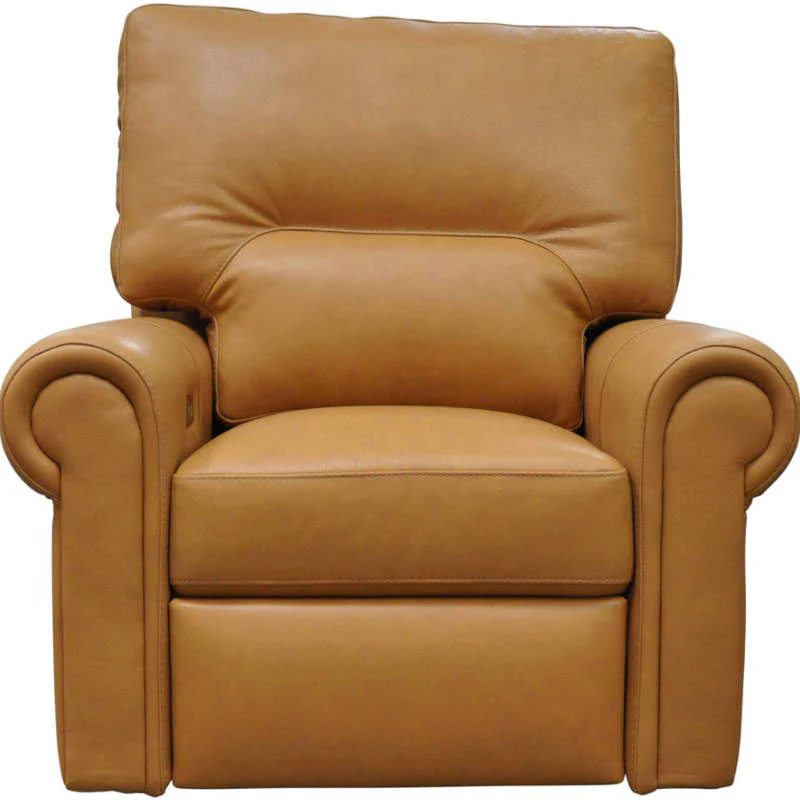Riley Leather Power Lift Recliner