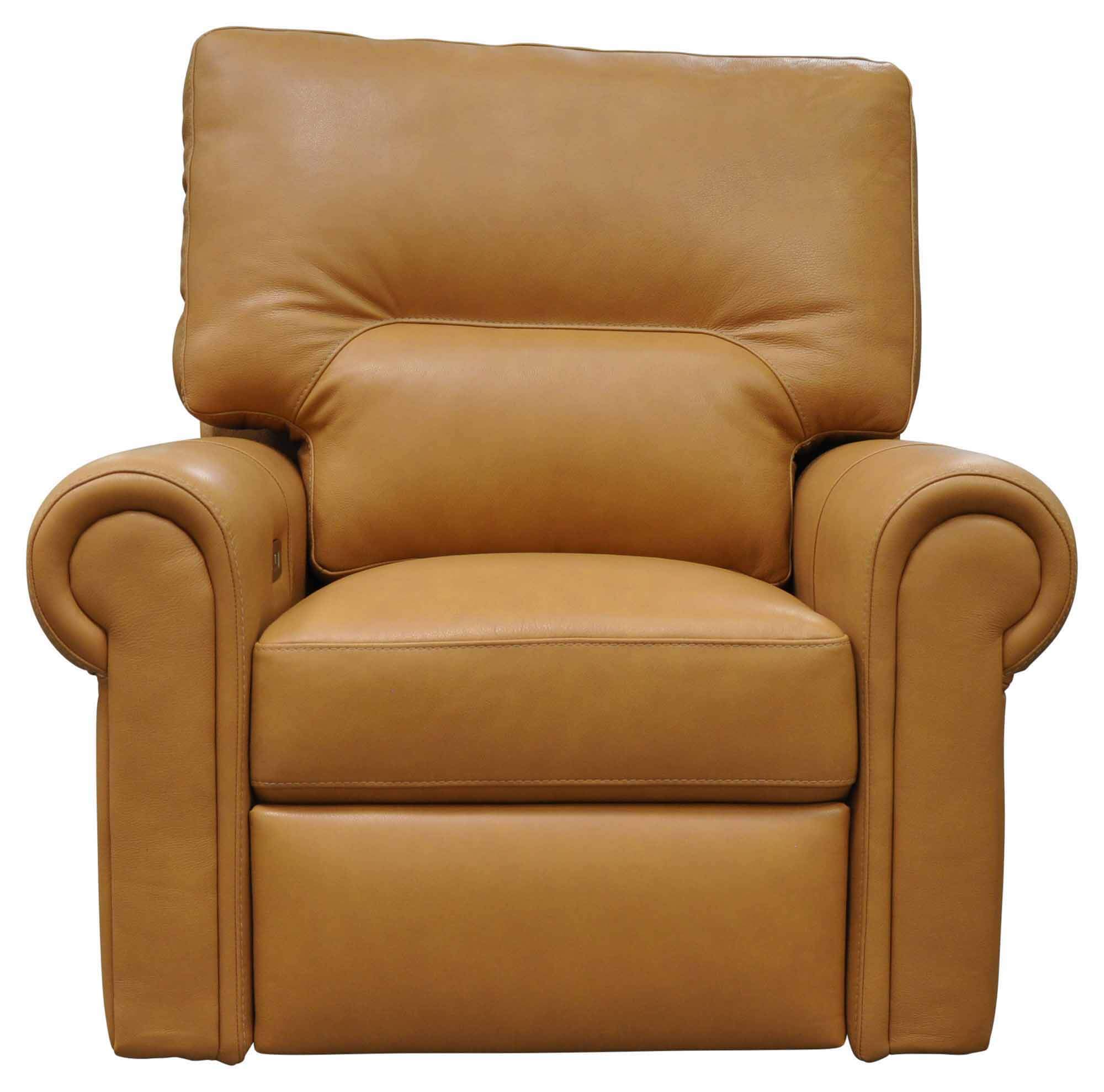 Riley Leather Power Lift Recliner - Image 3