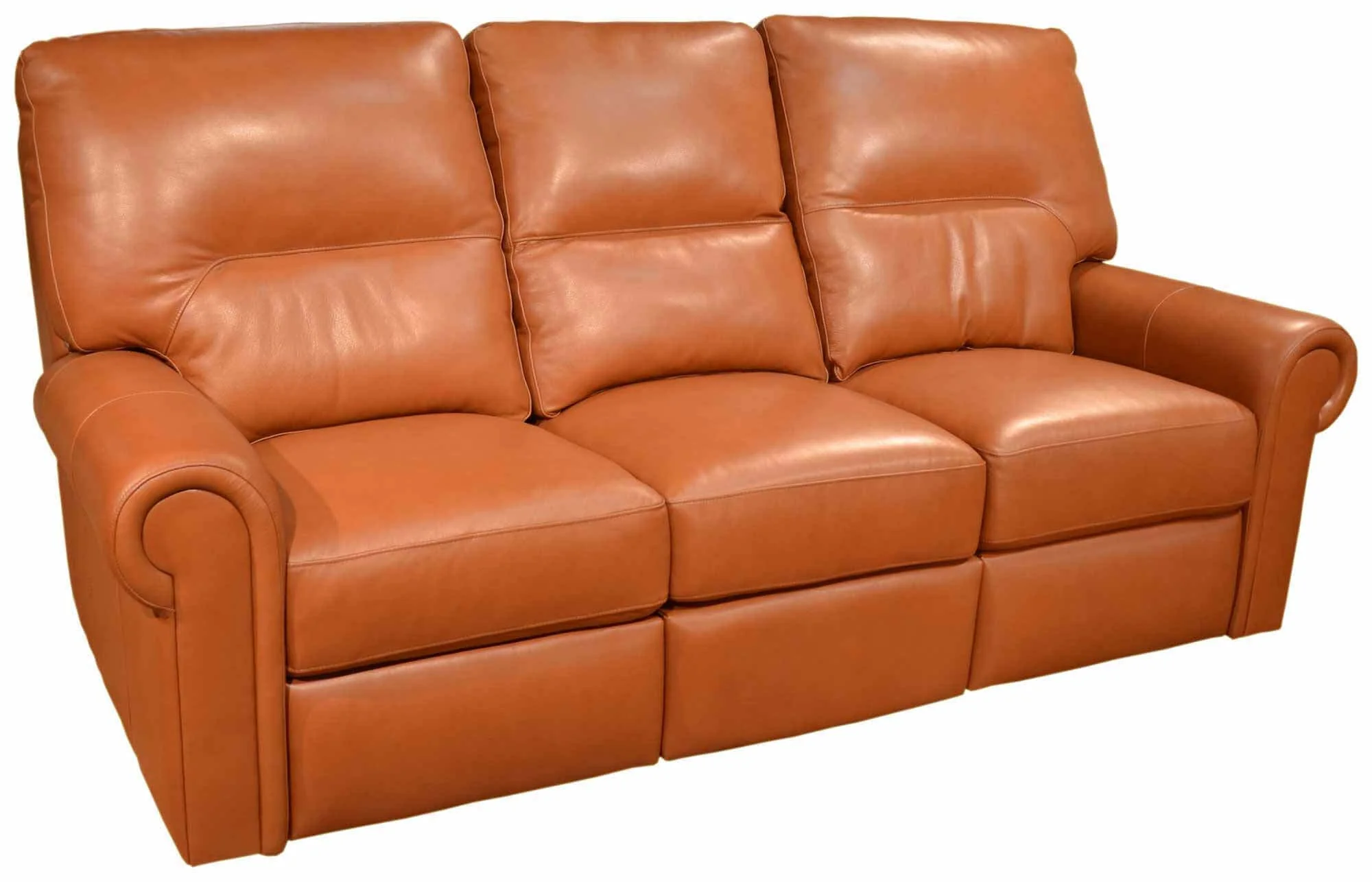 Riley Leather Reclining Loveseat