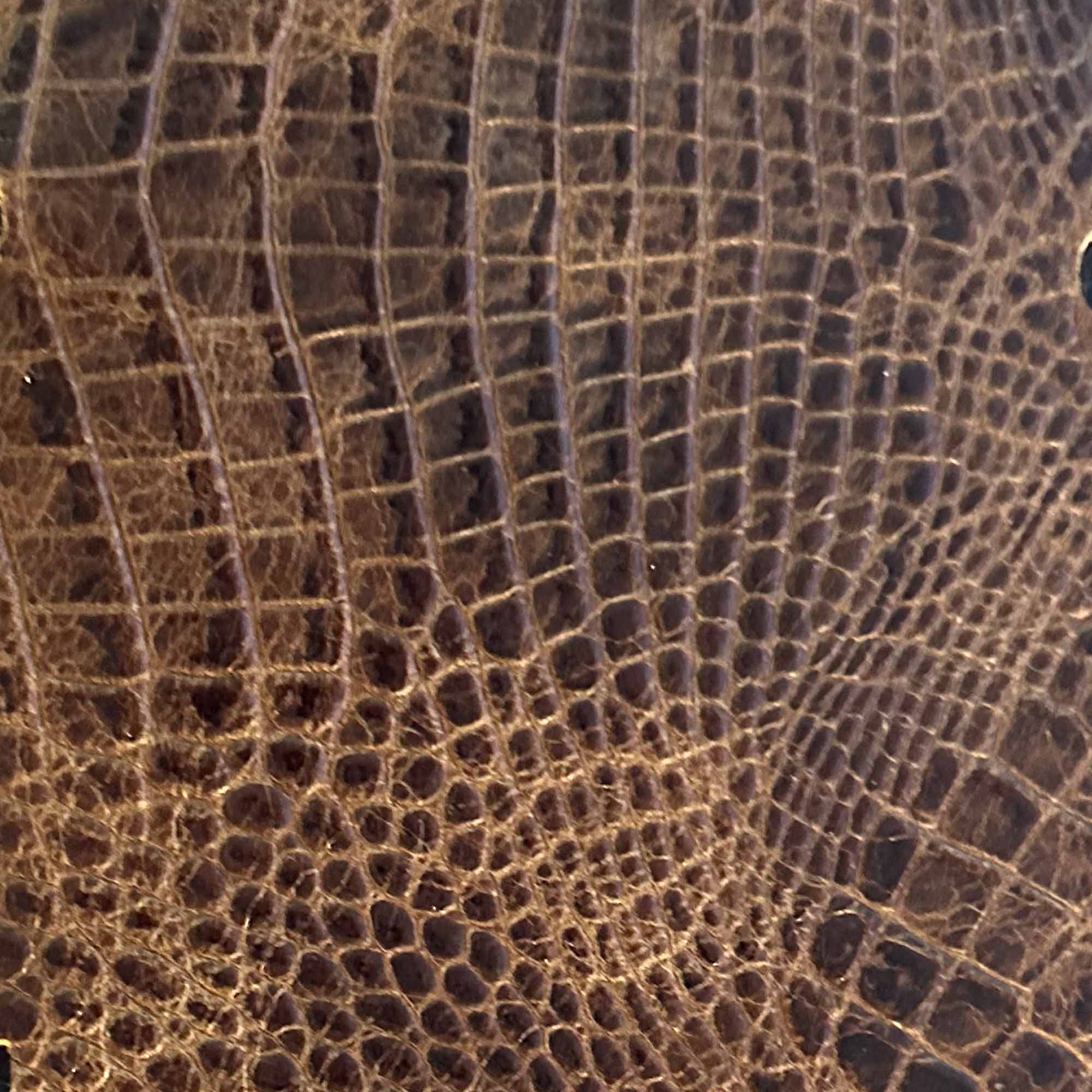 Specialty Grade 7: Rustic Gator Pattern