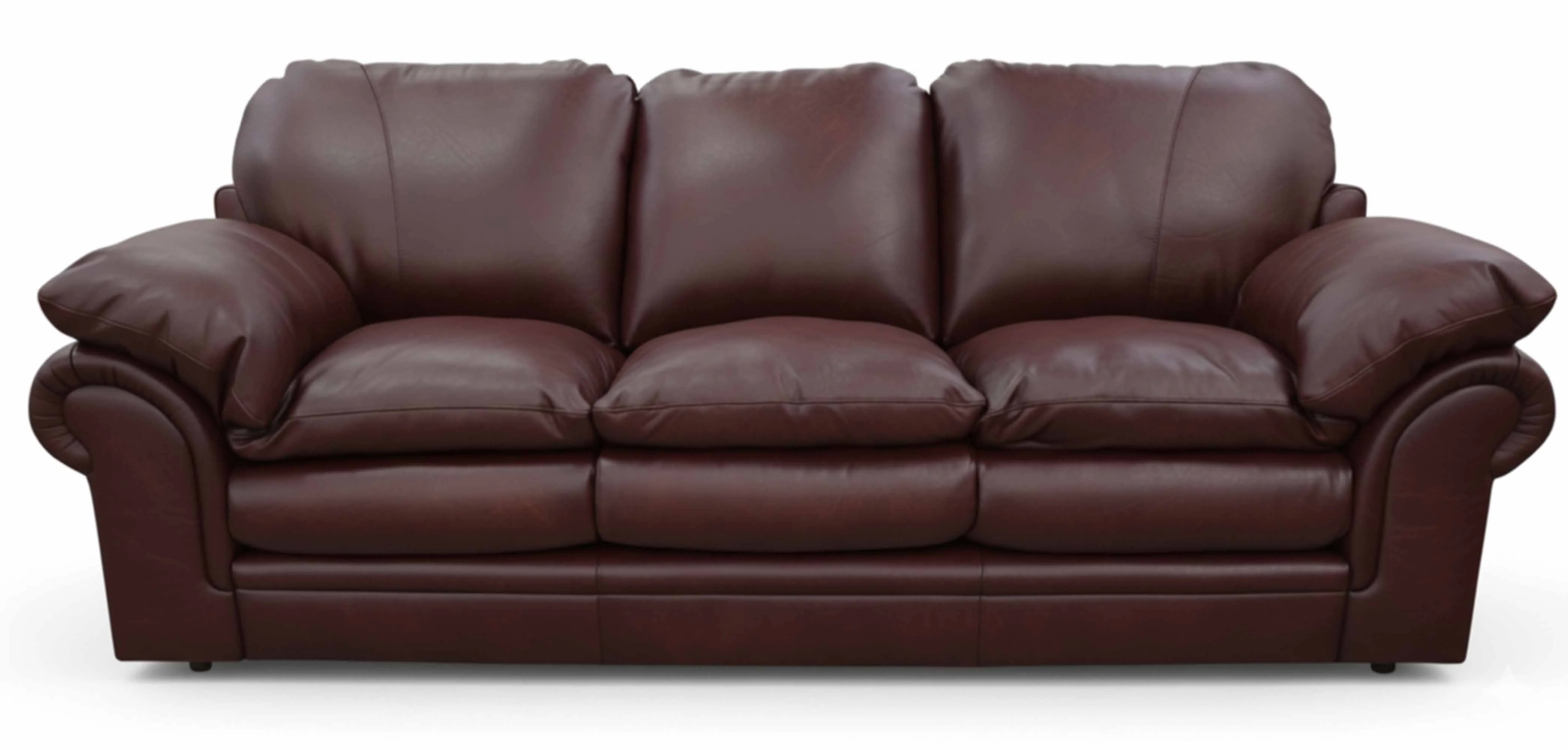 Santa Barbara Leather Loveseat - Image 4