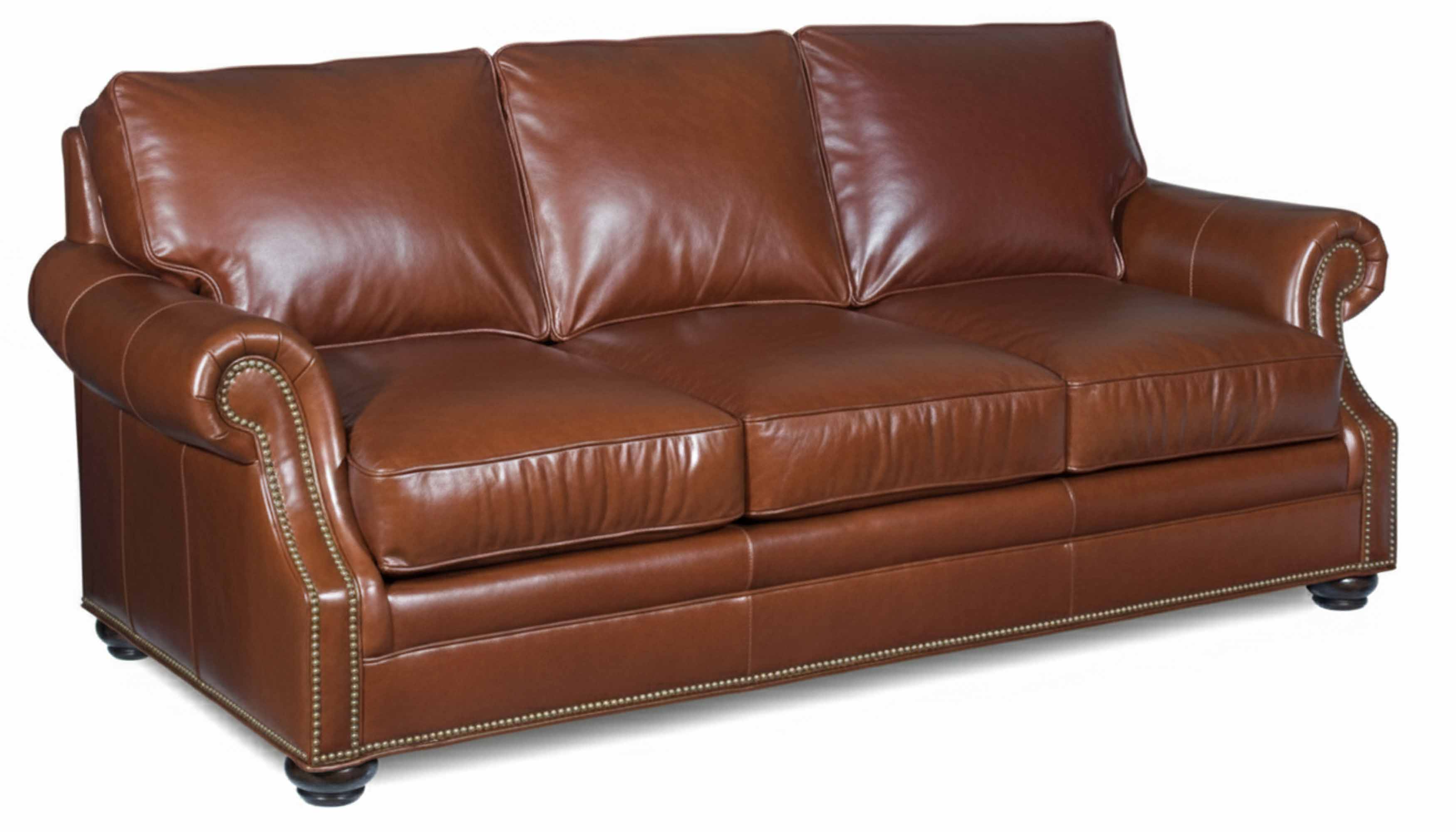 Warner Leather Sleeper Sofa