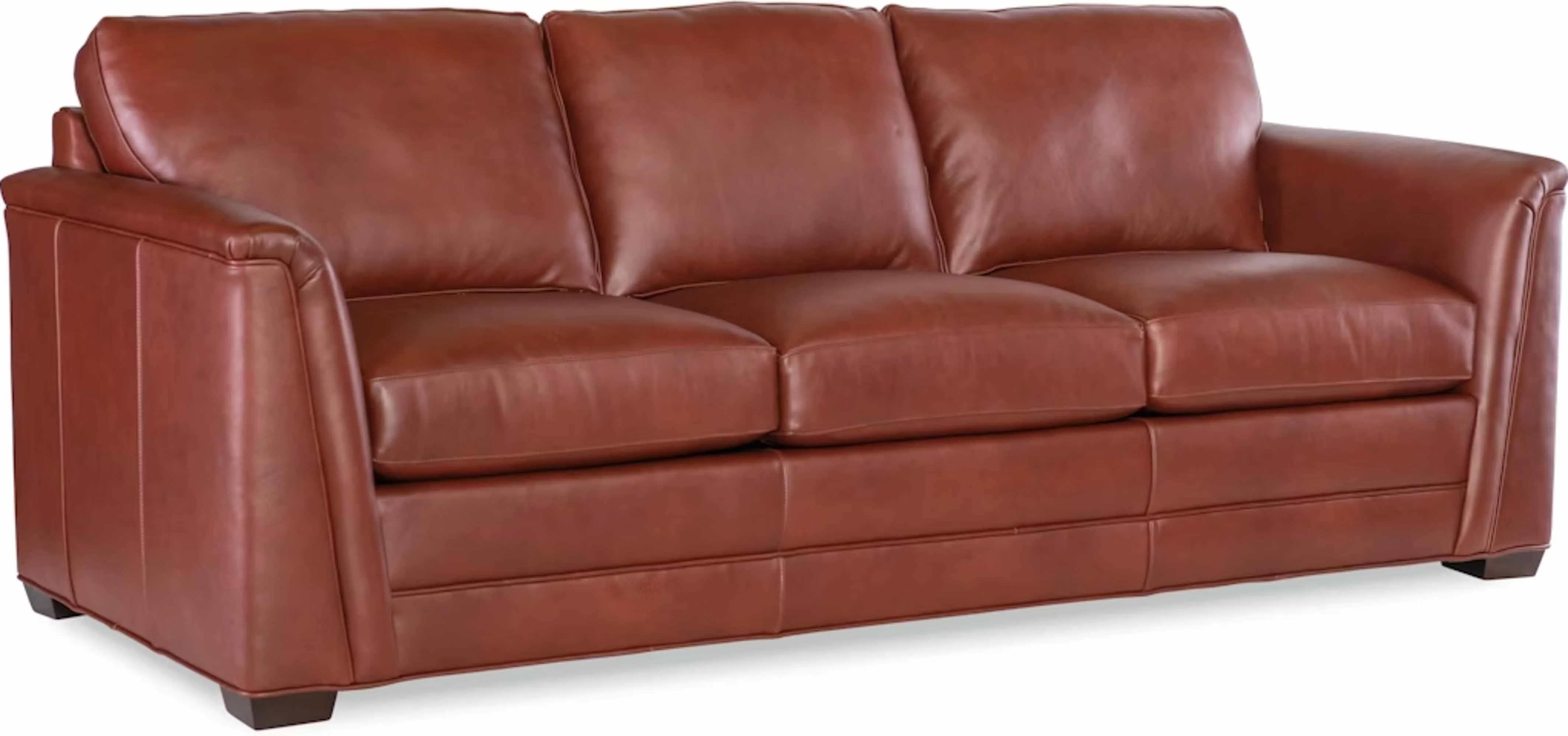 Winter Leather Sofa - Image 7